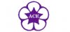 Logo ACE CO.,LTD