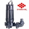 Bơm chìm nước thải  Evergush pump   