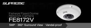 Dome Network Camera FE8172V